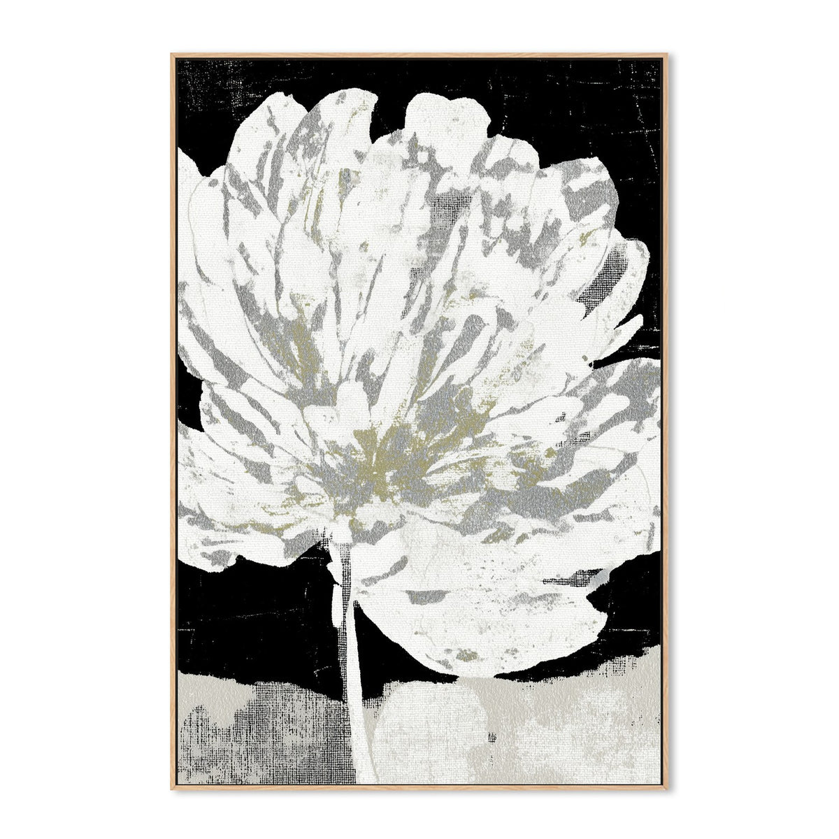 White Peony on Deep Black