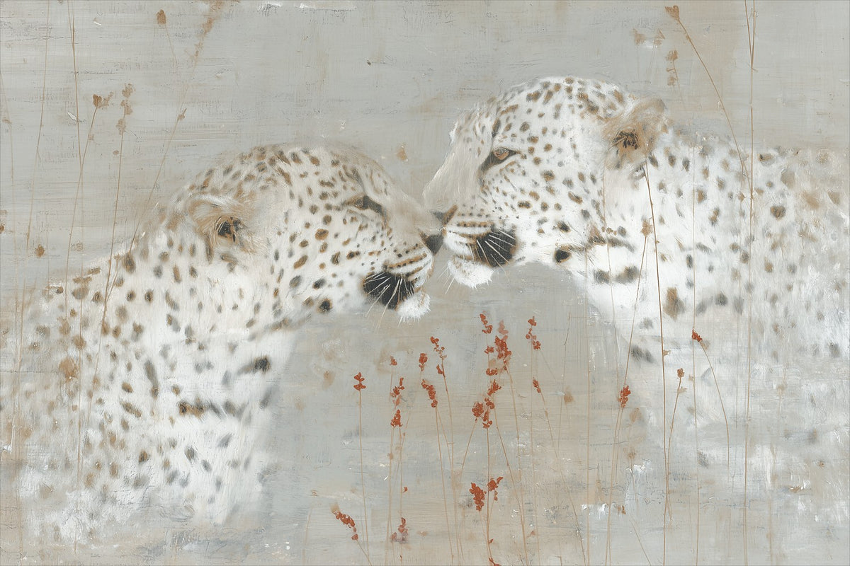 Leopard Pair Nuzzle