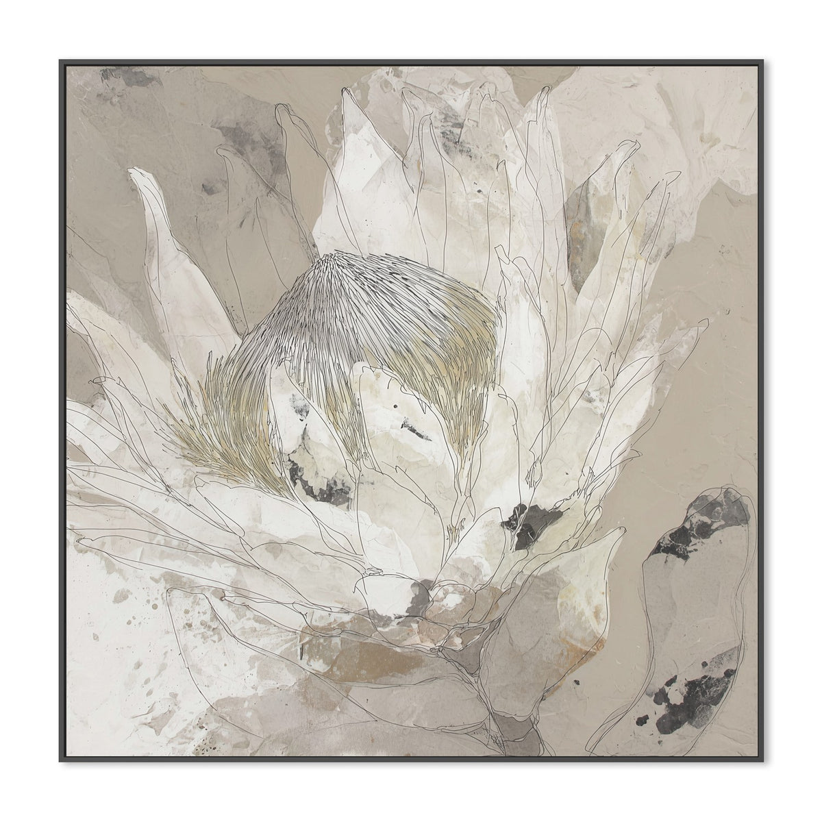 Etched Protea Bloom I