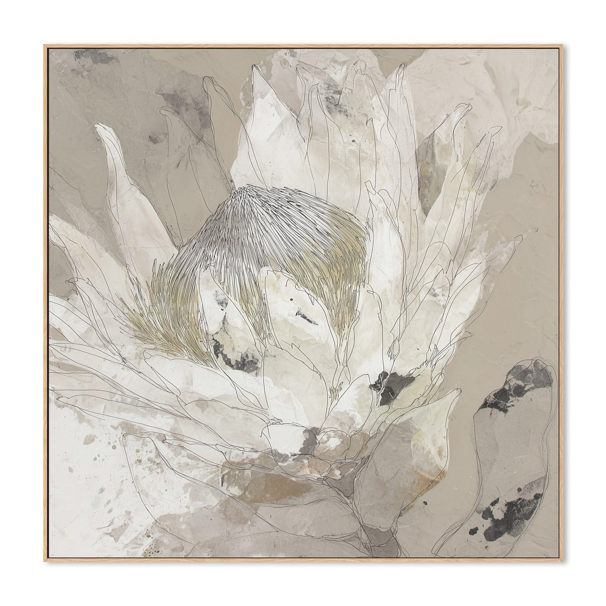 Etched Protea Bloom I