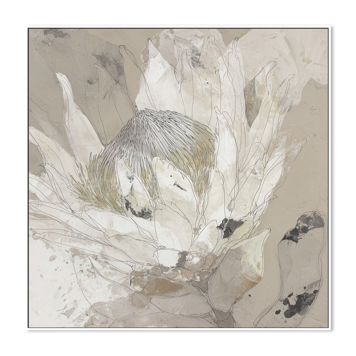 Etched Protea Bloom I