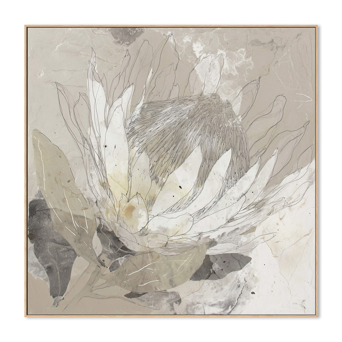 Etched Protea Bloom II