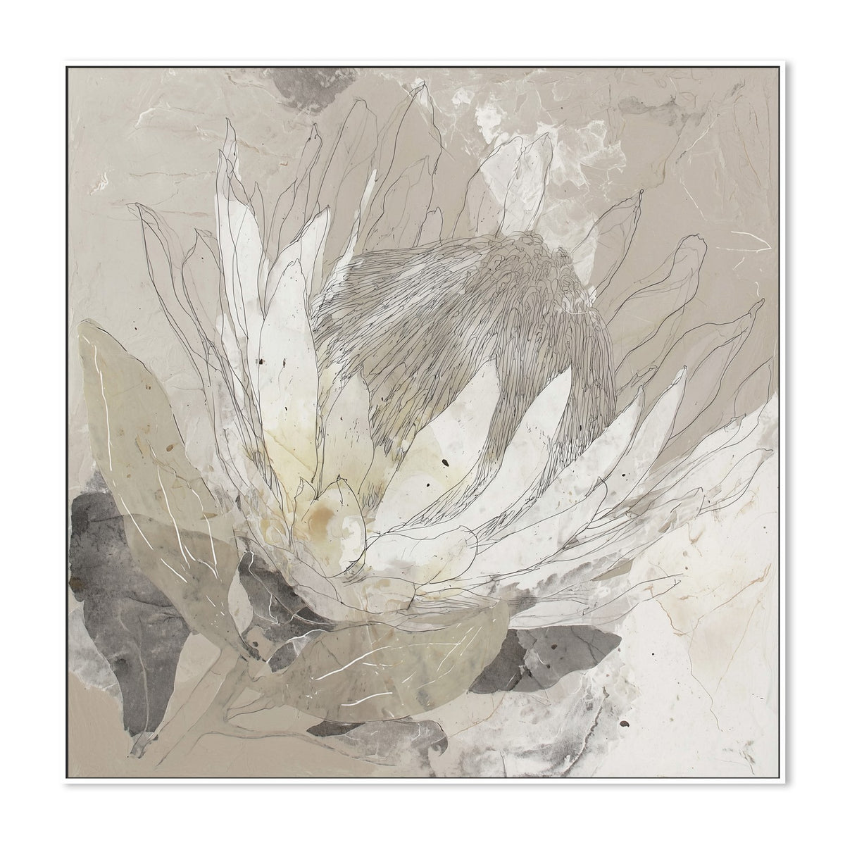 Etched Protea Bloom II