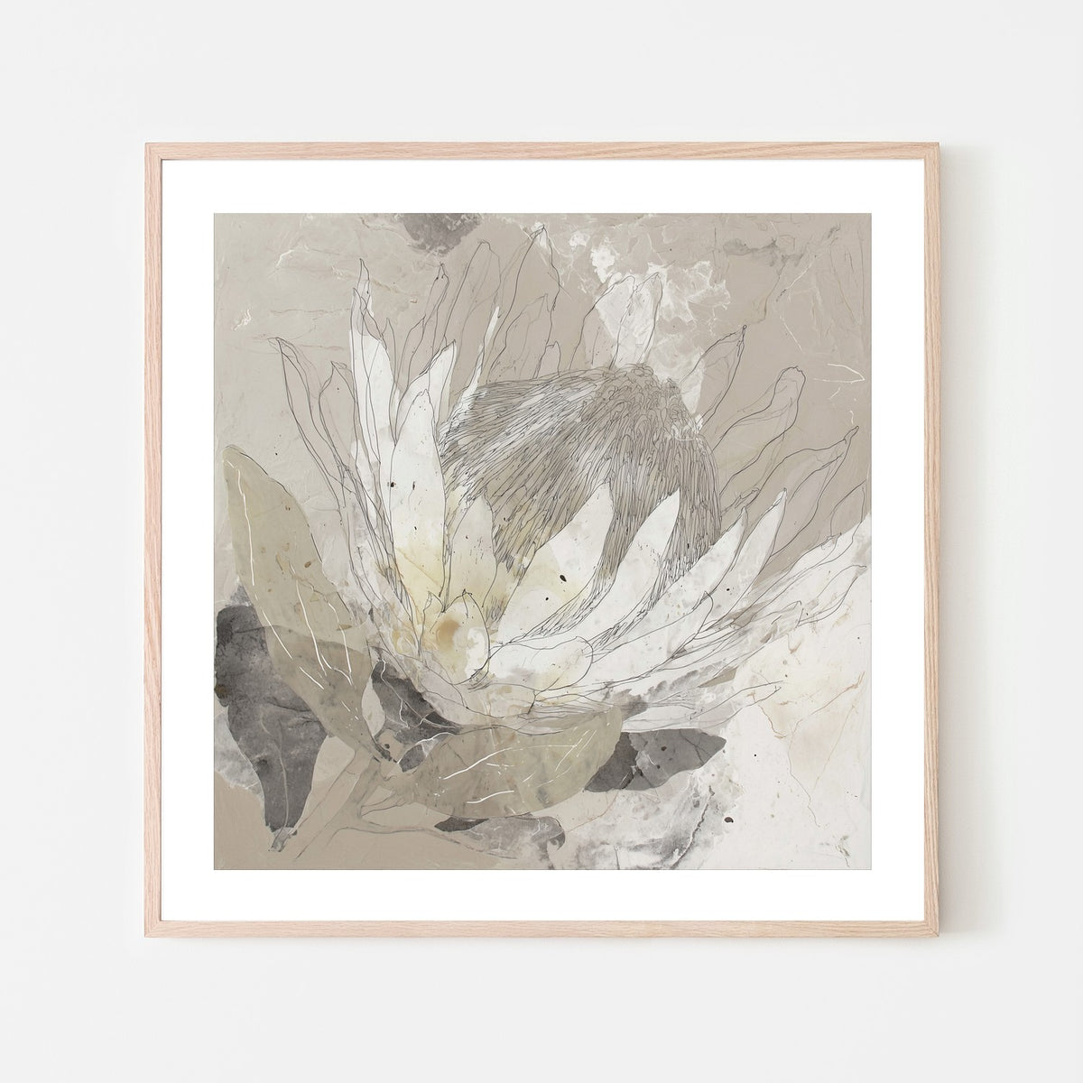 Etched Protea Bloom II