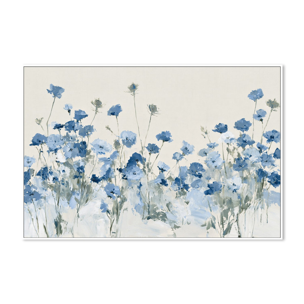 Field of Wild Asters