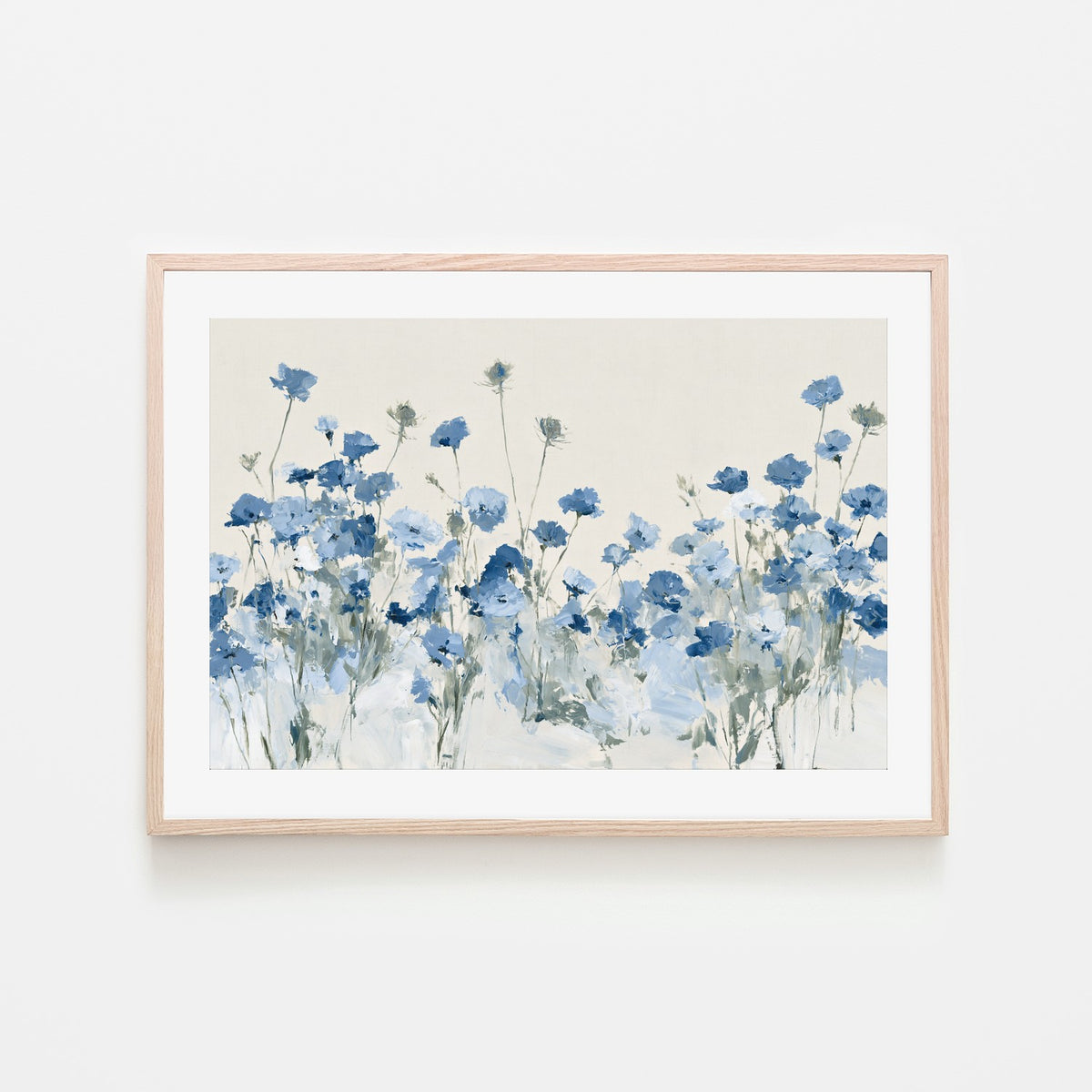 Field of Wild Asters