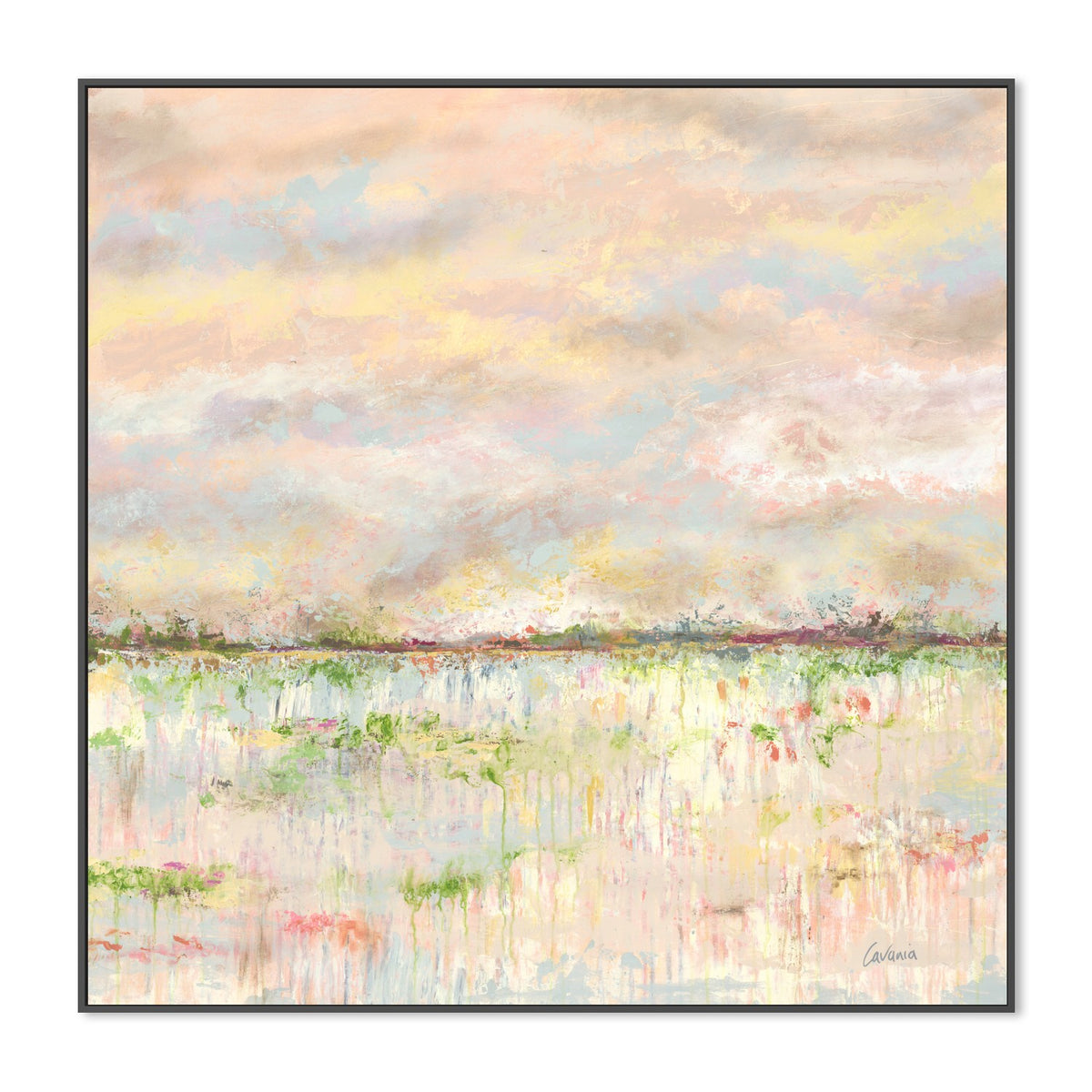 Blushing Paddock IV