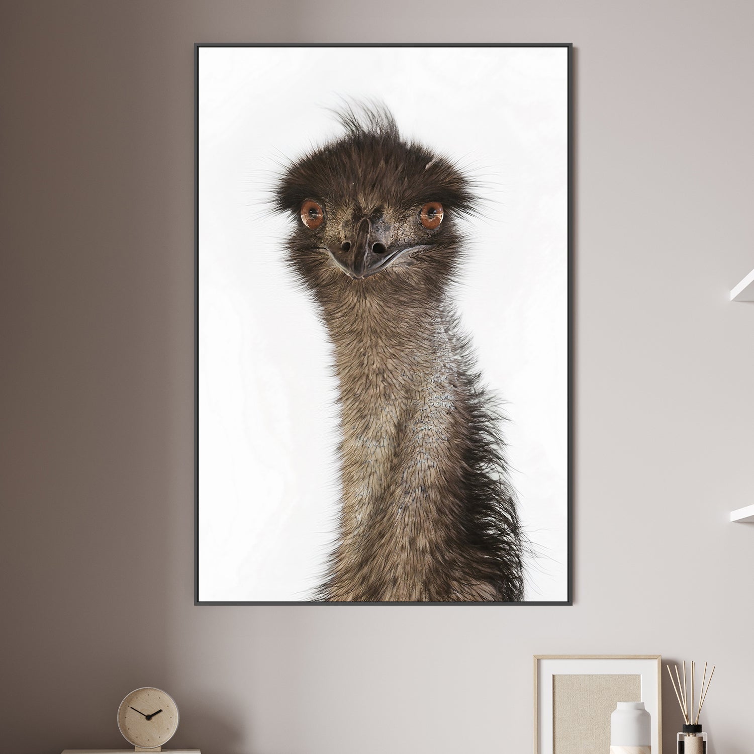 Colin Emu , By Belinda Gerace