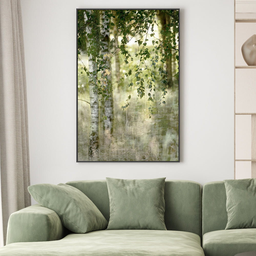 Spring birch