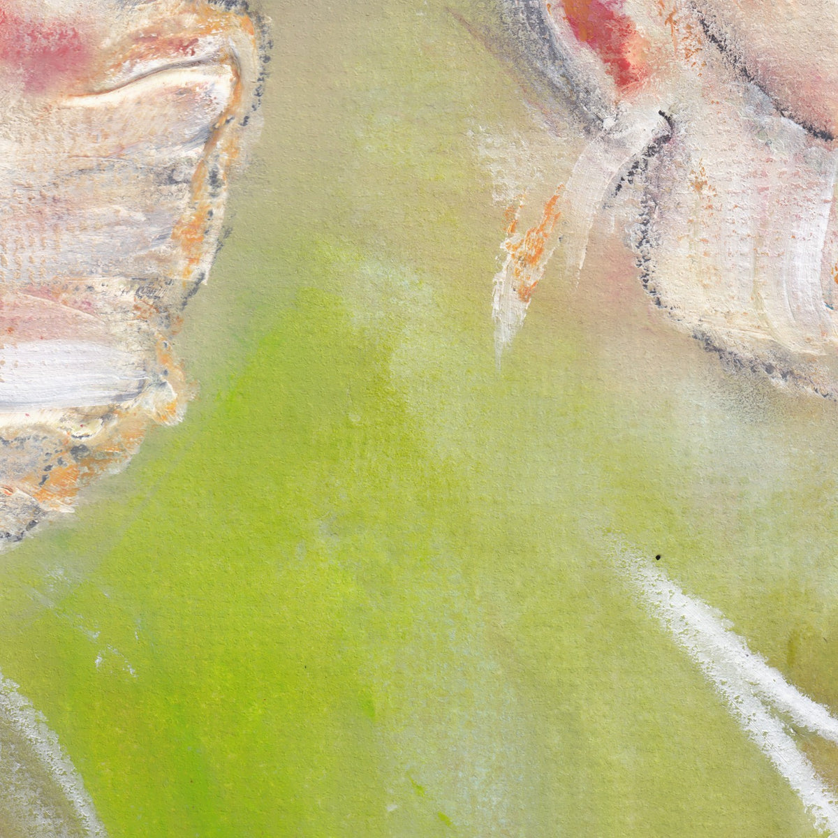 Lilypads