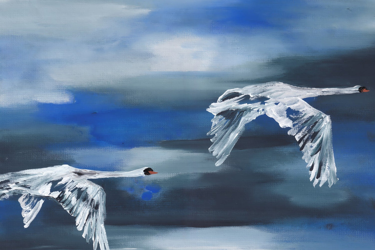 Migration