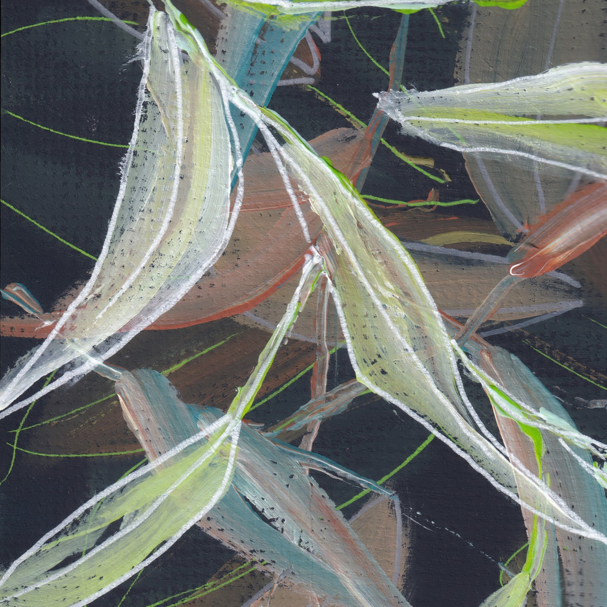 Undergrowth A