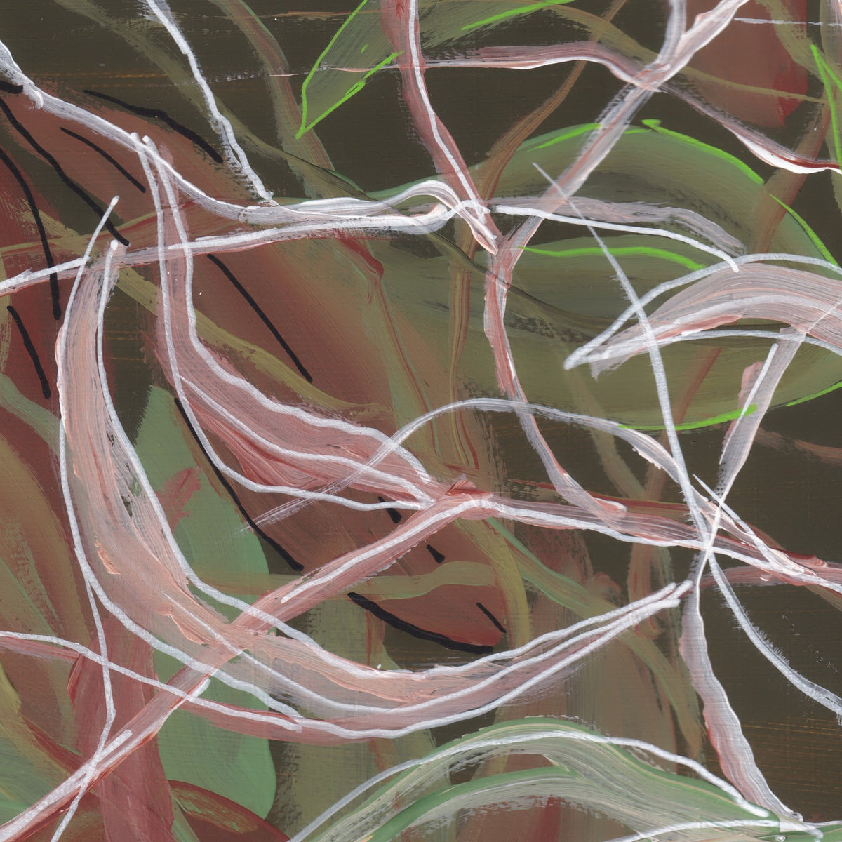 Undergrowth B