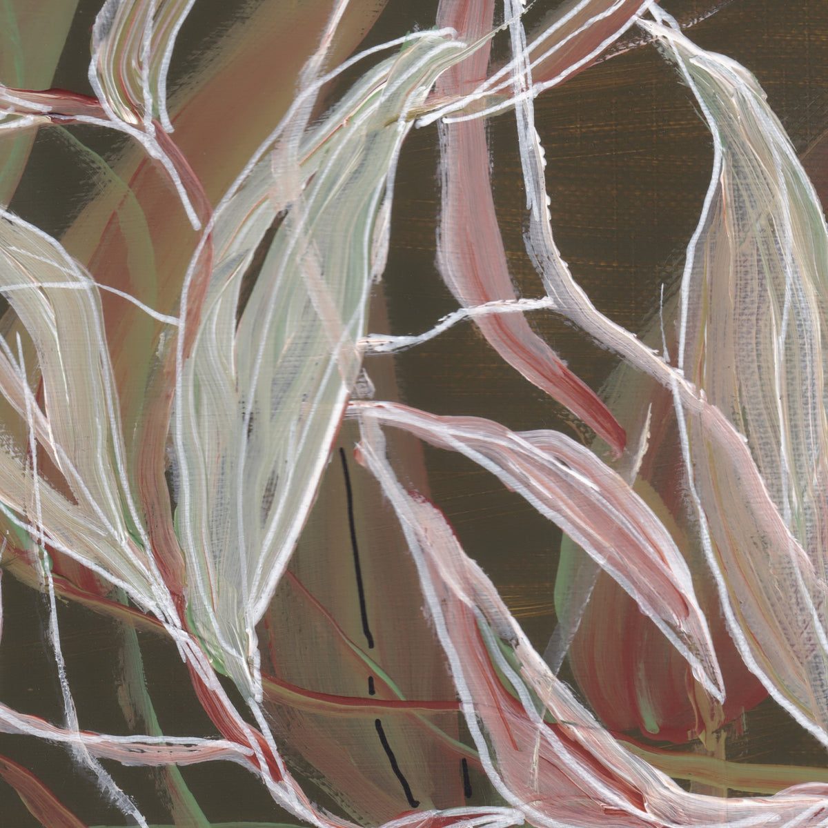 Undergrowth B