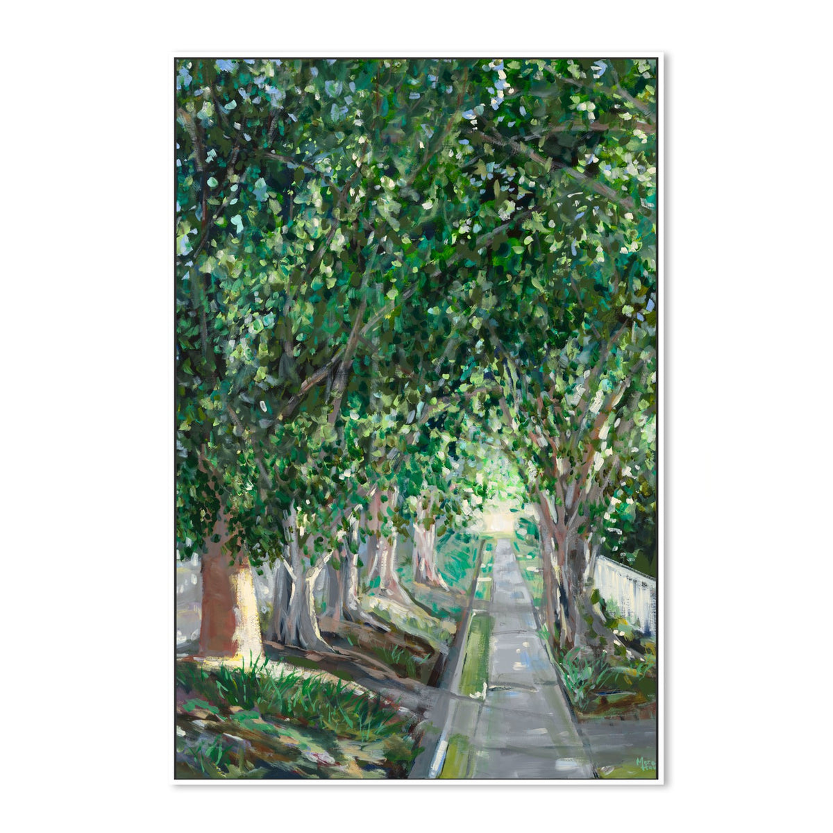 Ashgrove Heritage Trees