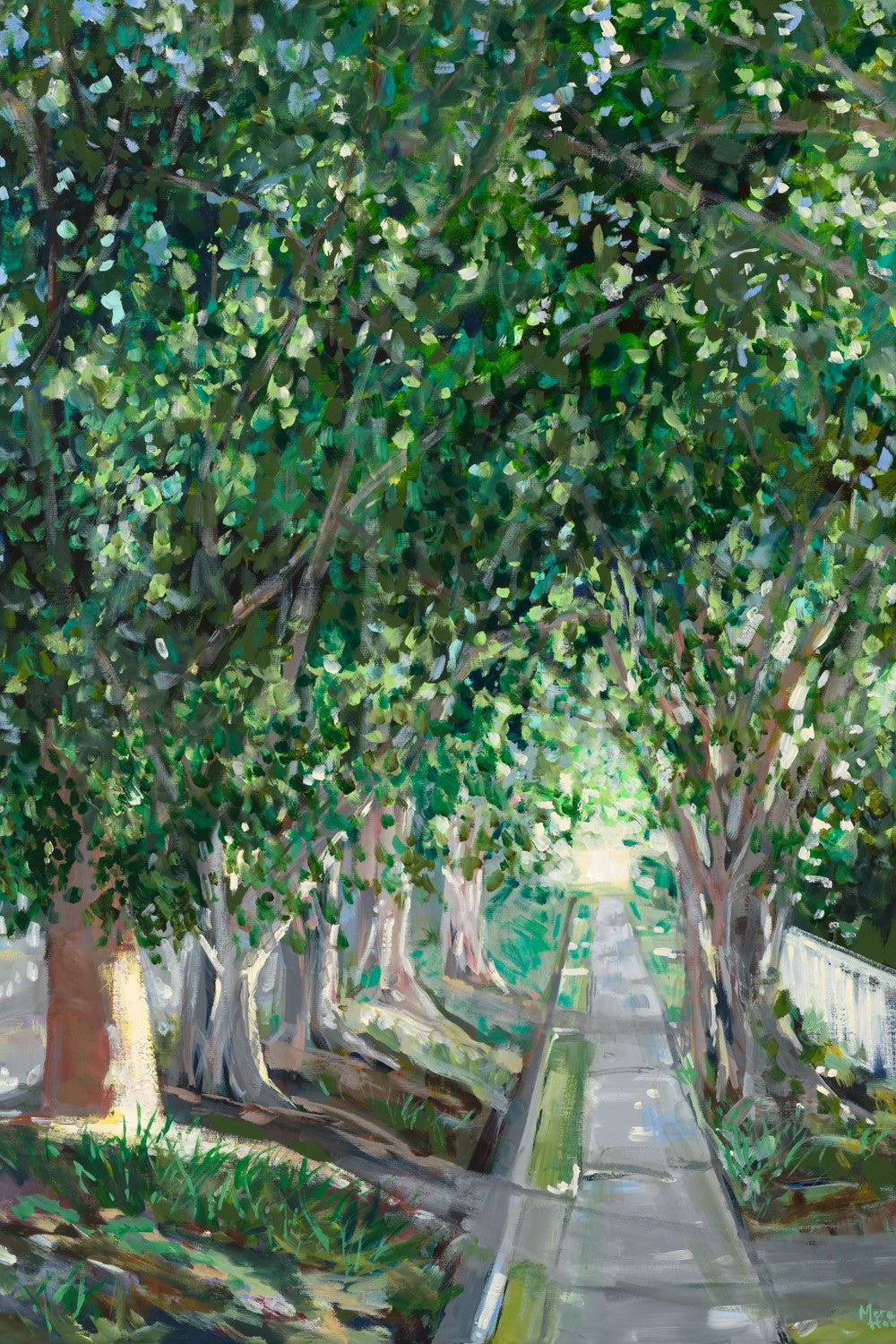Ashgrove Heritage Trees