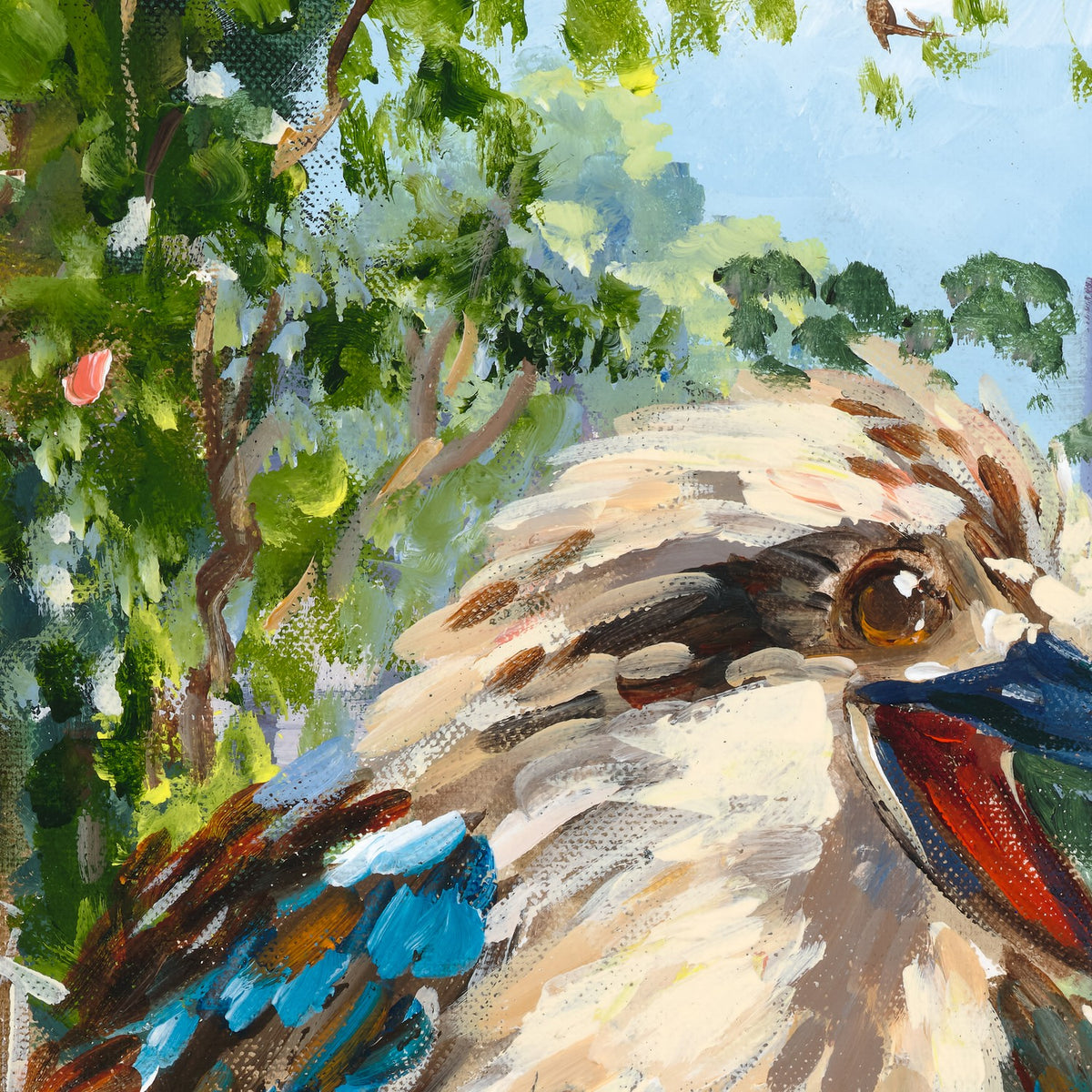 Red Hill Kookaburra