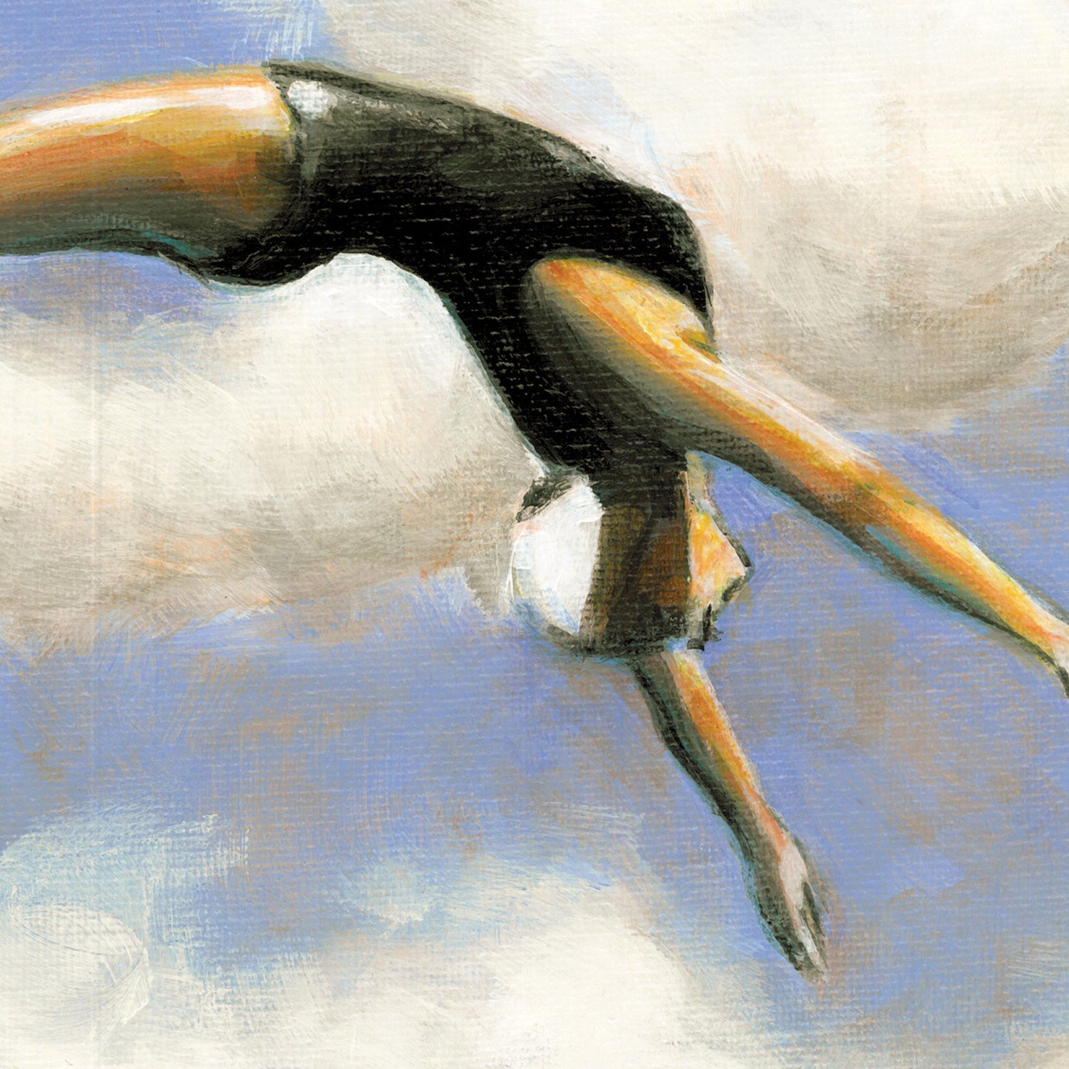 Cliff Diving