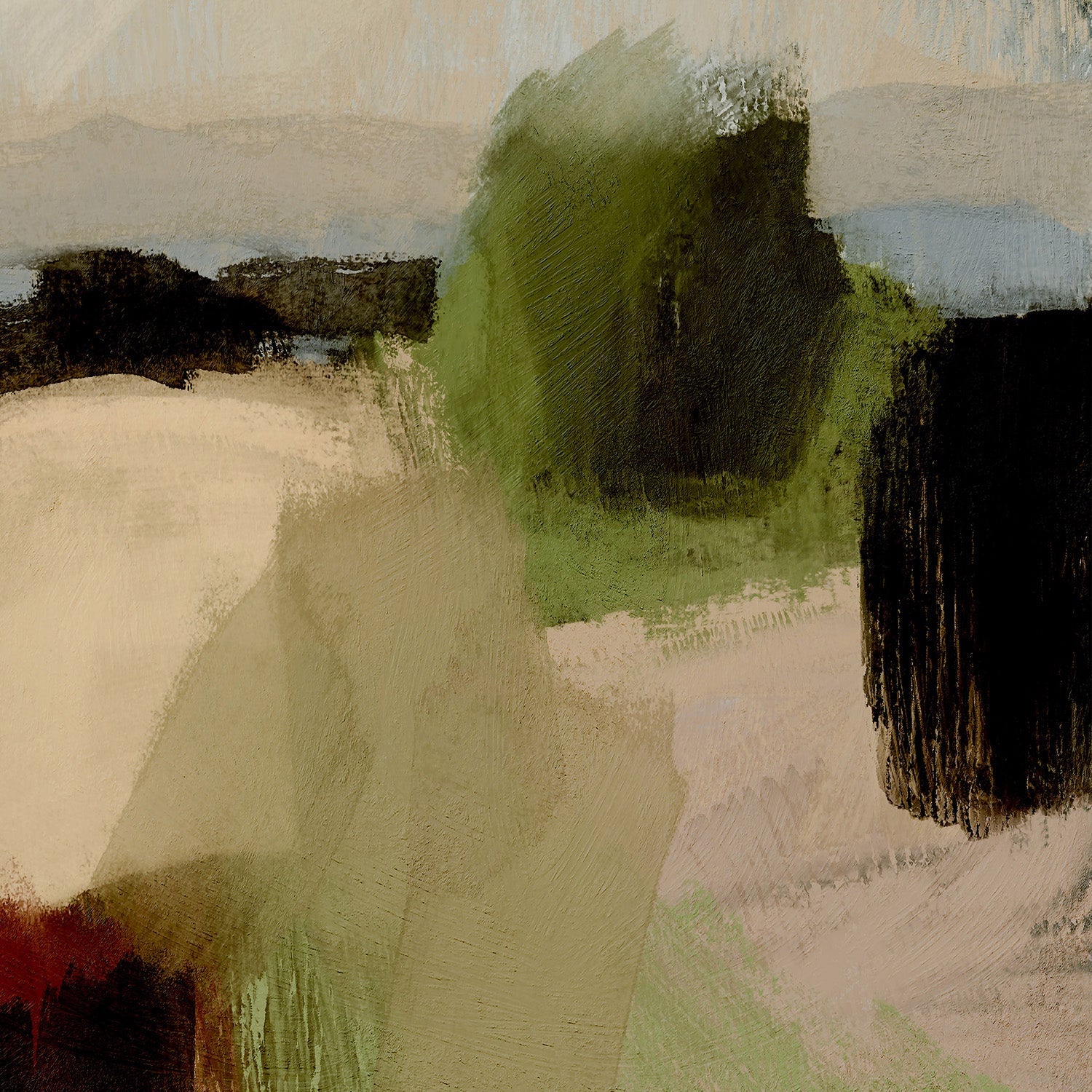 House in the feild