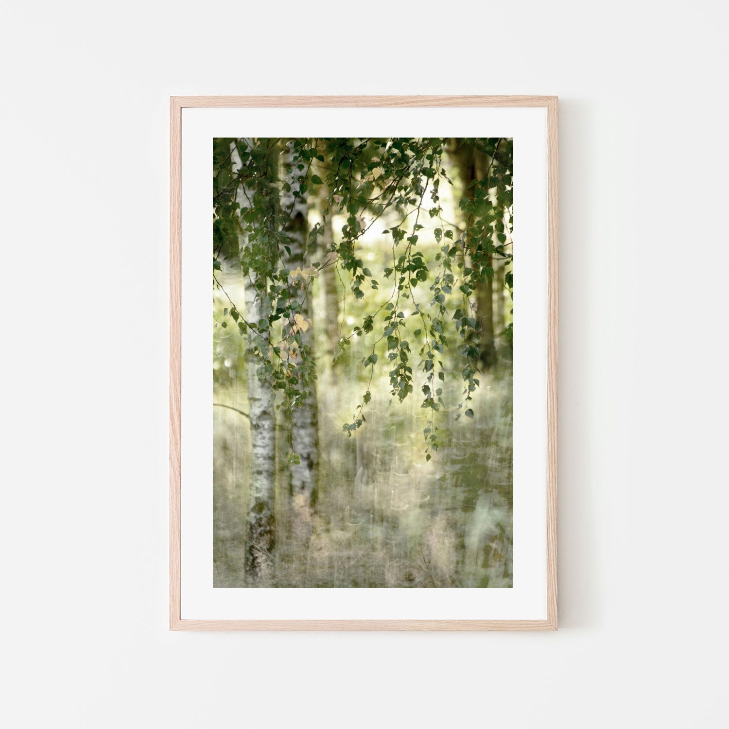 Spring birch