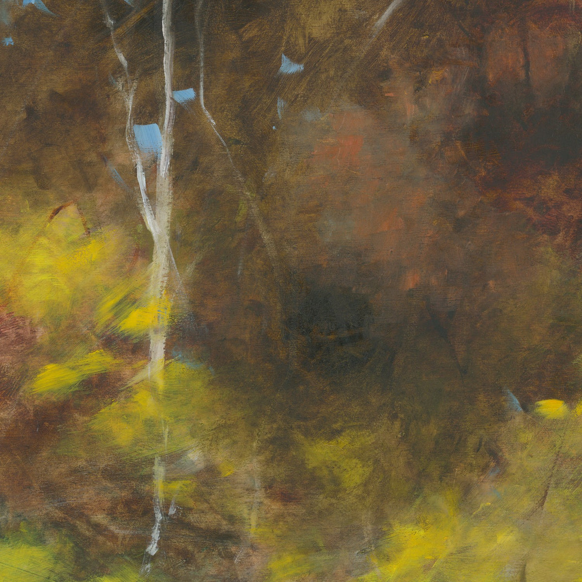 Joy 4 – Fleeting Colour