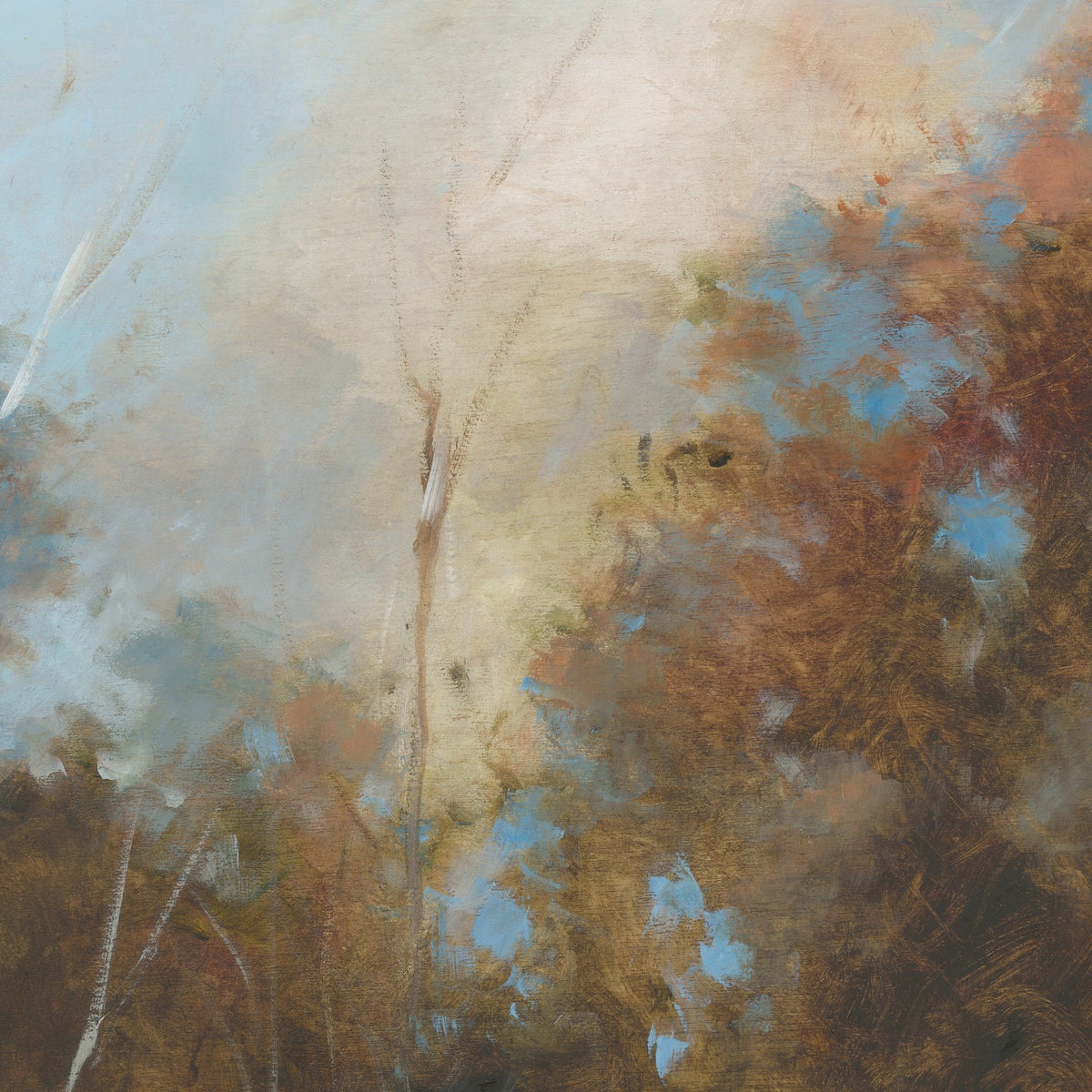 Joy 4 – Fleeting Colour