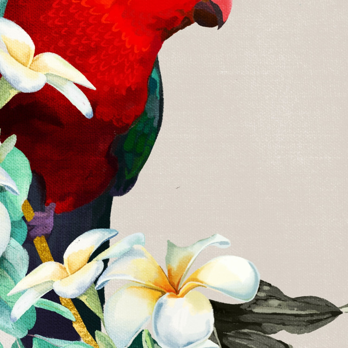 Red Macaw