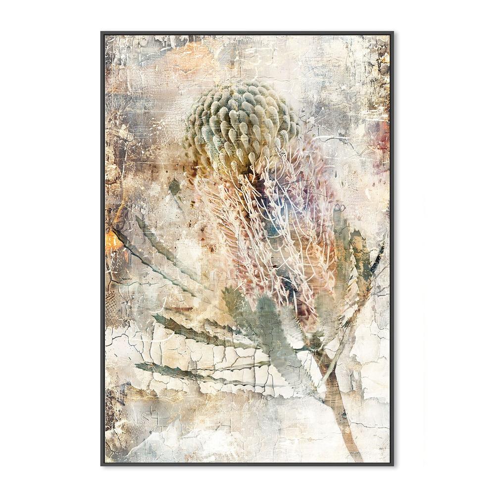 wall-art-print-canvas-poster-framed-Aged Banksia Bloom-3