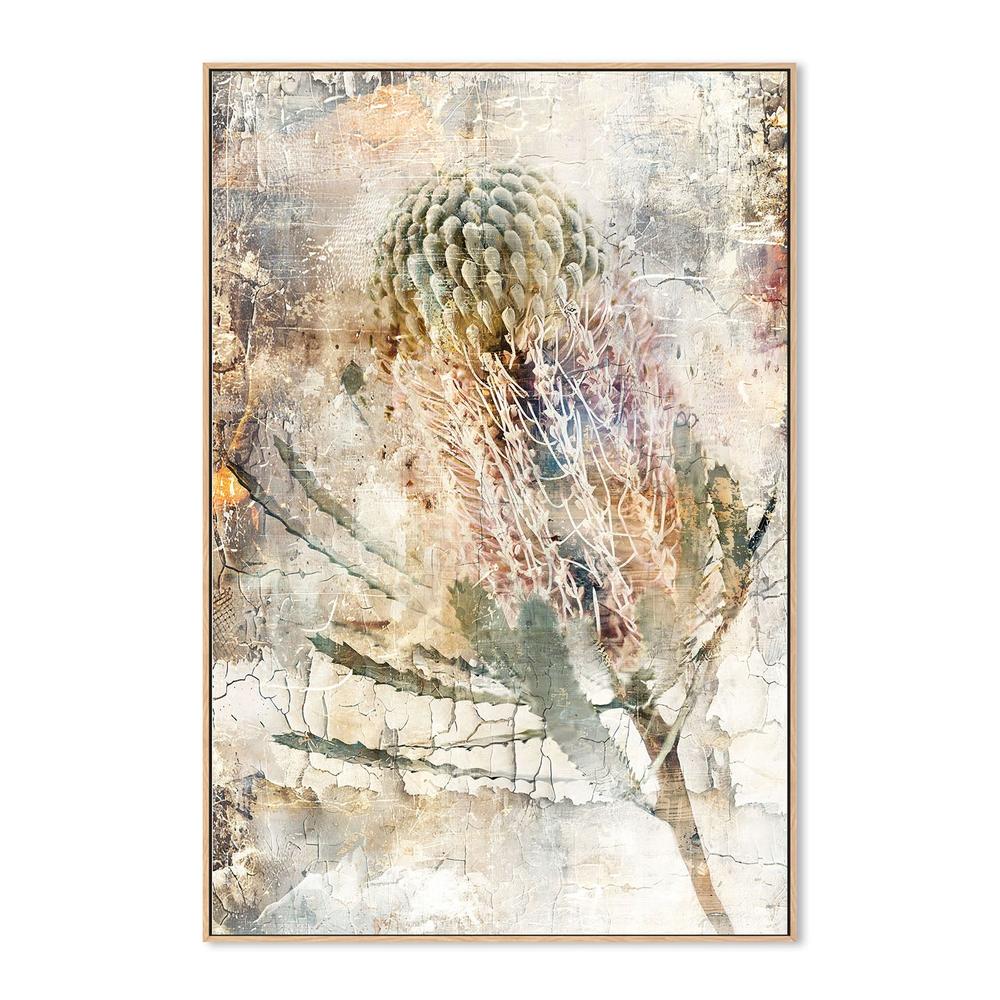 wall-art-print-canvas-poster-framed-Aged Banksia Bloom-4
