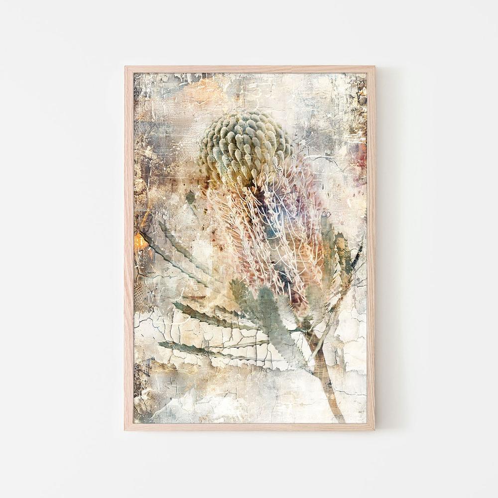 wall-art-print-canvas-poster-framed-Aged Banksia Bloom-6