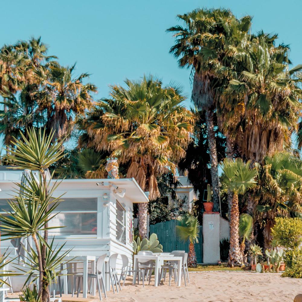 Beach Boat Under Palms-by-Gabor Estefan-wall-art-print-canvas-poster-framed-Gioia