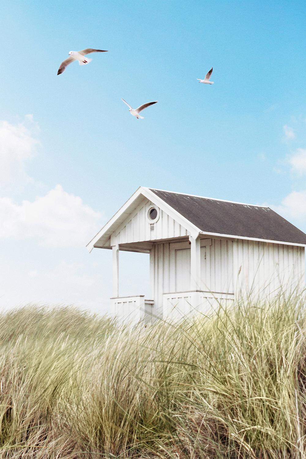 Beach Hut-by-Gal Pittel-wall-art-print-canvas-poster-framed-Gioia