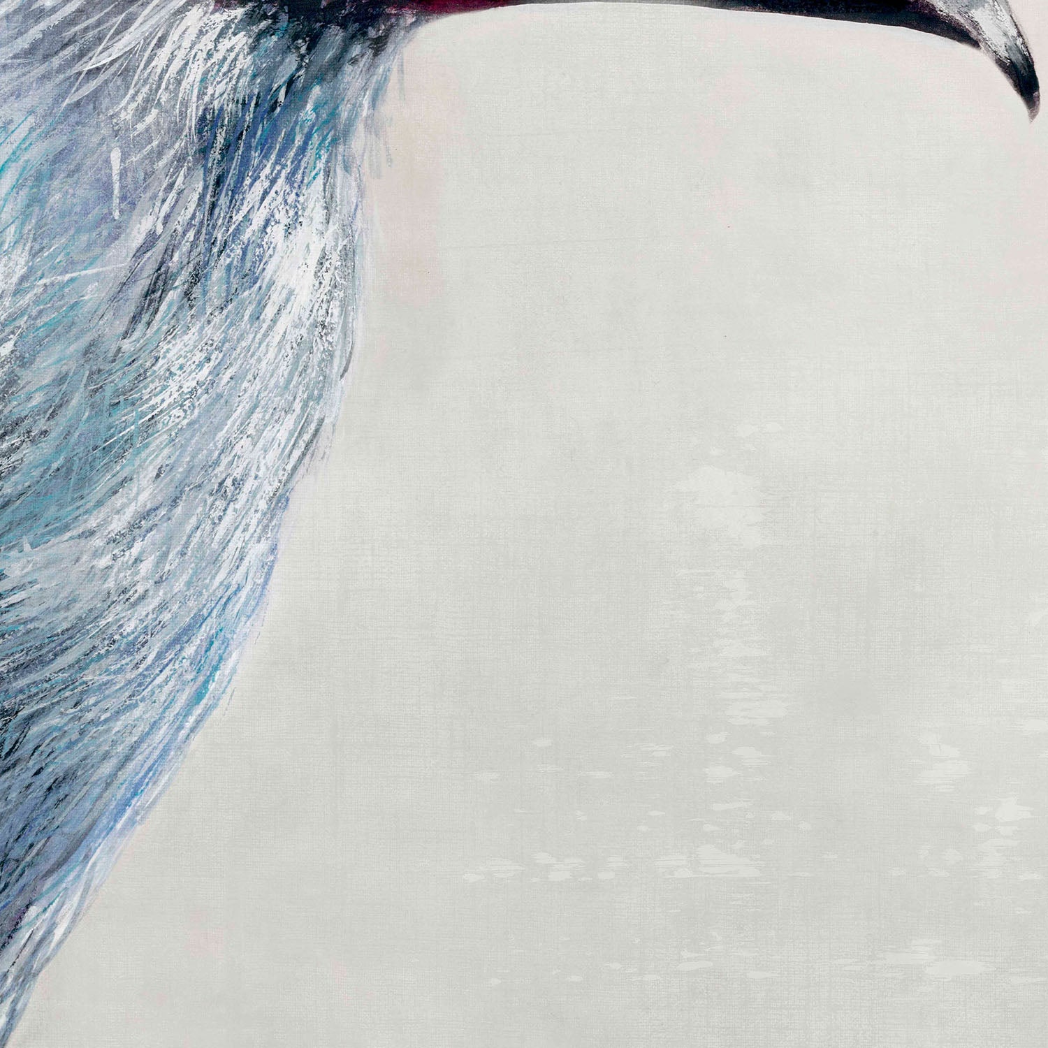 Black billed Mountain Toucan-by-Jacob Q-wall-art-print-canvas-poster-framed-Gioia