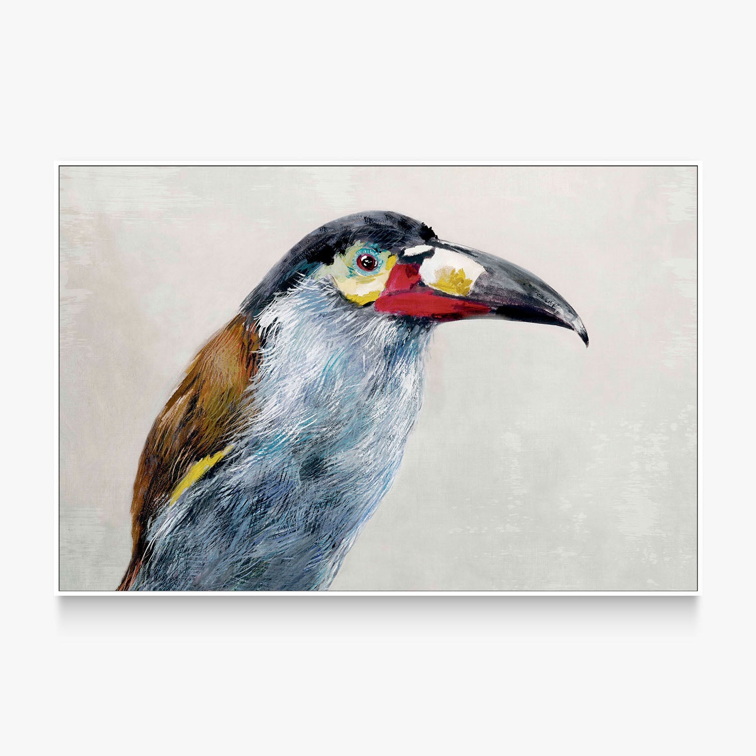 Black billed Mountain Toucan-by-Jacob Q-wall-art-print-canvas-poster-framed-Gioia