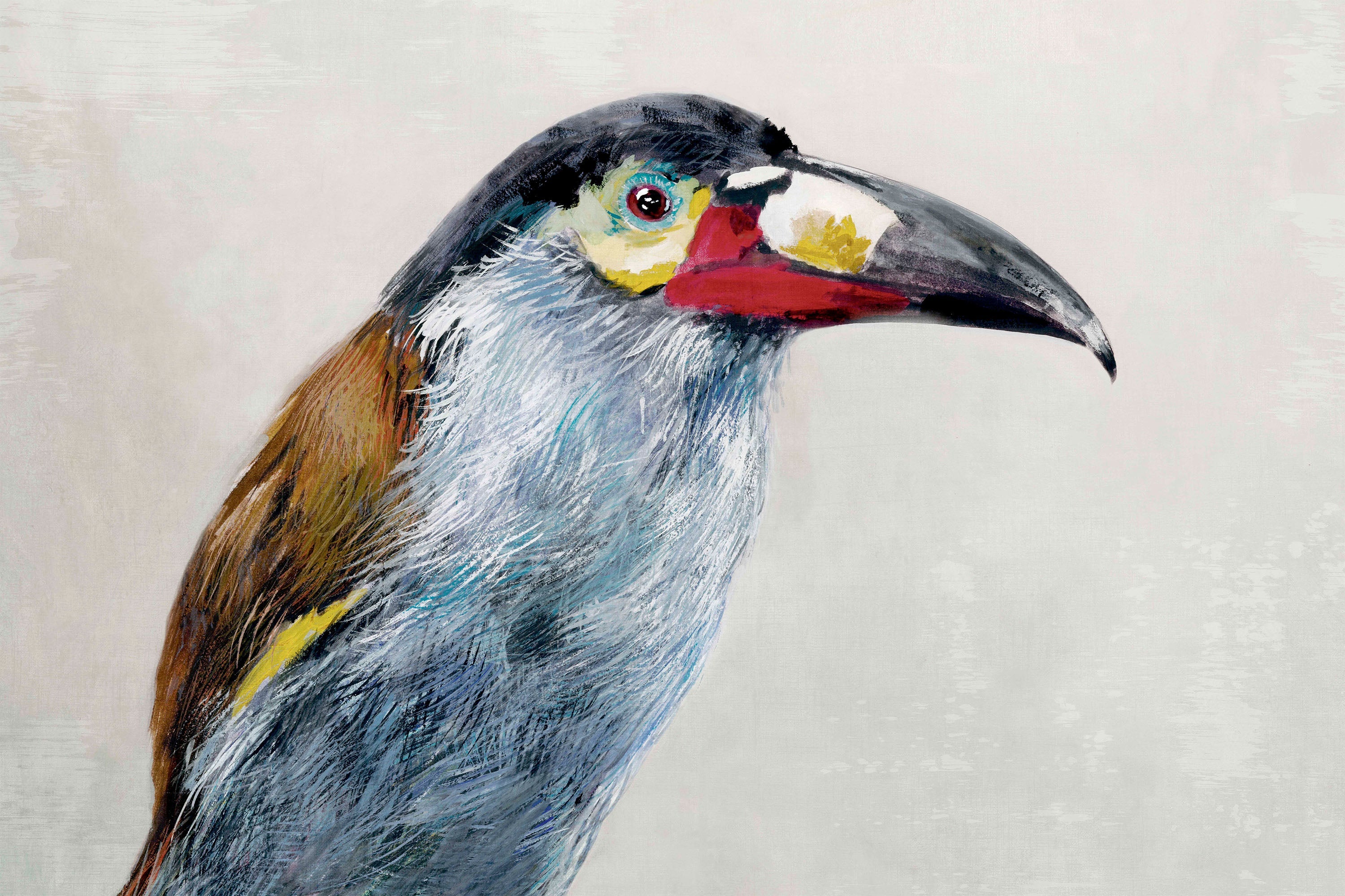 Black billed Mountain Toucan-by-Jacob Q-wall-art-print-canvas-poster-framed-Gioia