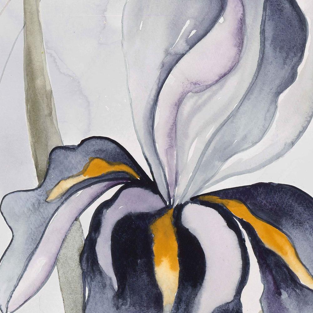 Black Iris-by-Jacob Q-wall-art-print-canvas-poster-framed-Gioia