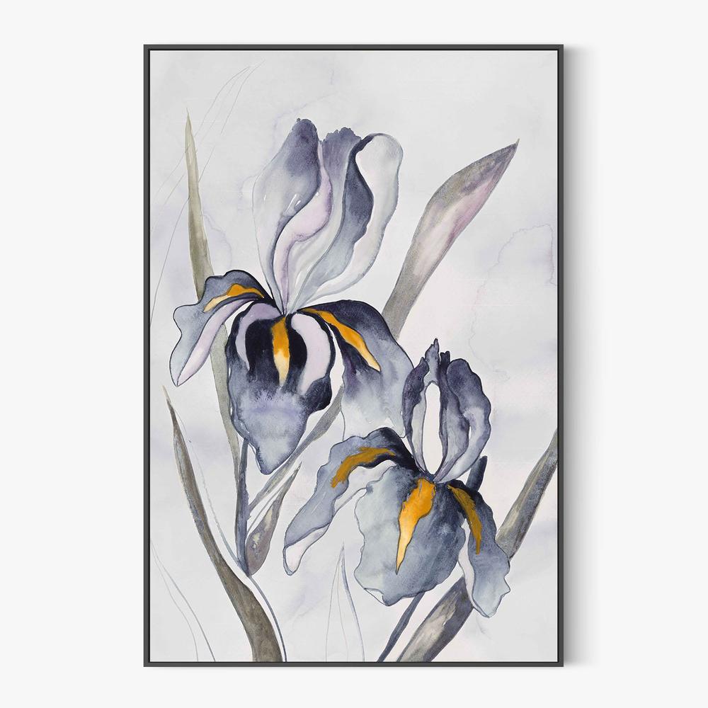 Black Iris-by-Jacob Q-wall-art-print-canvas-poster-framed-Gioia