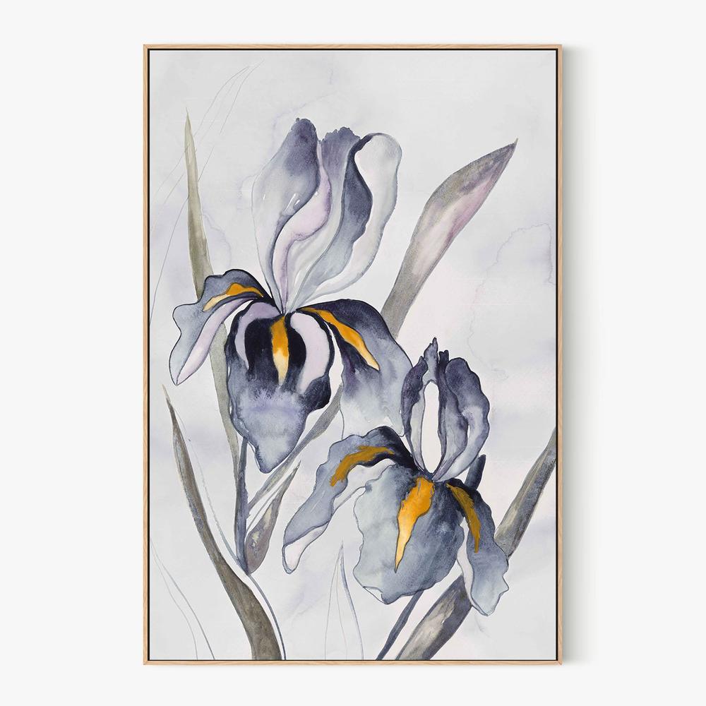 Black Iris-by-Jacob Q-wall-art-print-canvas-poster-framed-Gioia