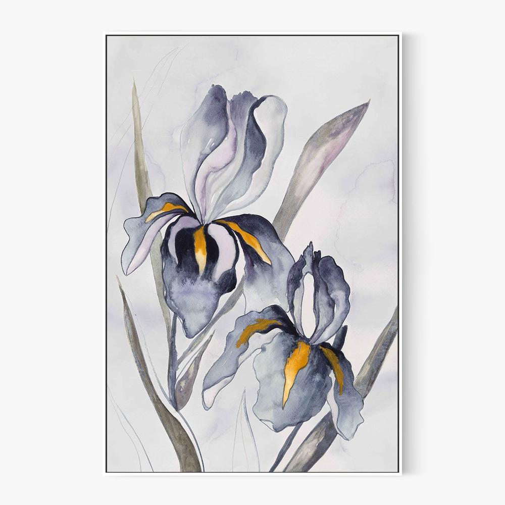 Black Iris-by-Jacob Q-wall-art-print-canvas-poster-framed-Gioia