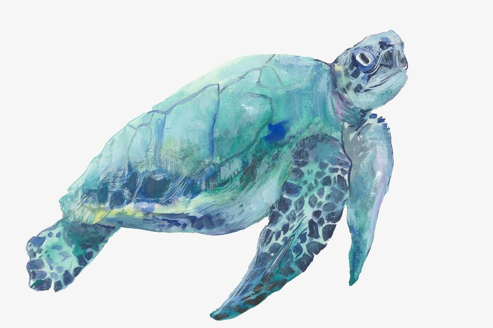 Blue Great Sea Turtle, Style A-by-Jacob Q-wall-art-print-canvas-poster-framed-Gioia