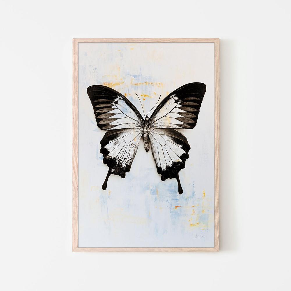 Butterfly, Style A-by-Deborah Revell-wall-art-print-canvas-poster-framed-Gioia