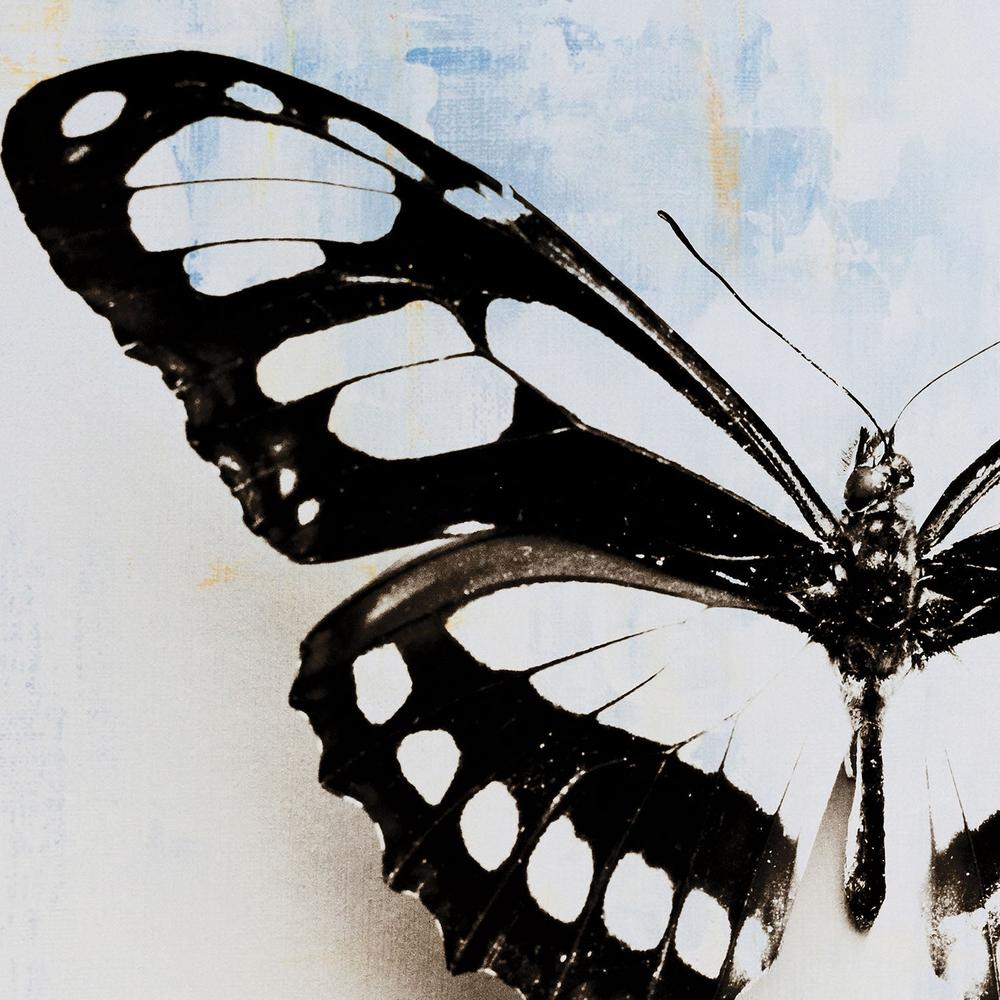 Butterfly, Style B-by-Deborah Revell-wall-art-print-canvas-poster-framed-Gioia
