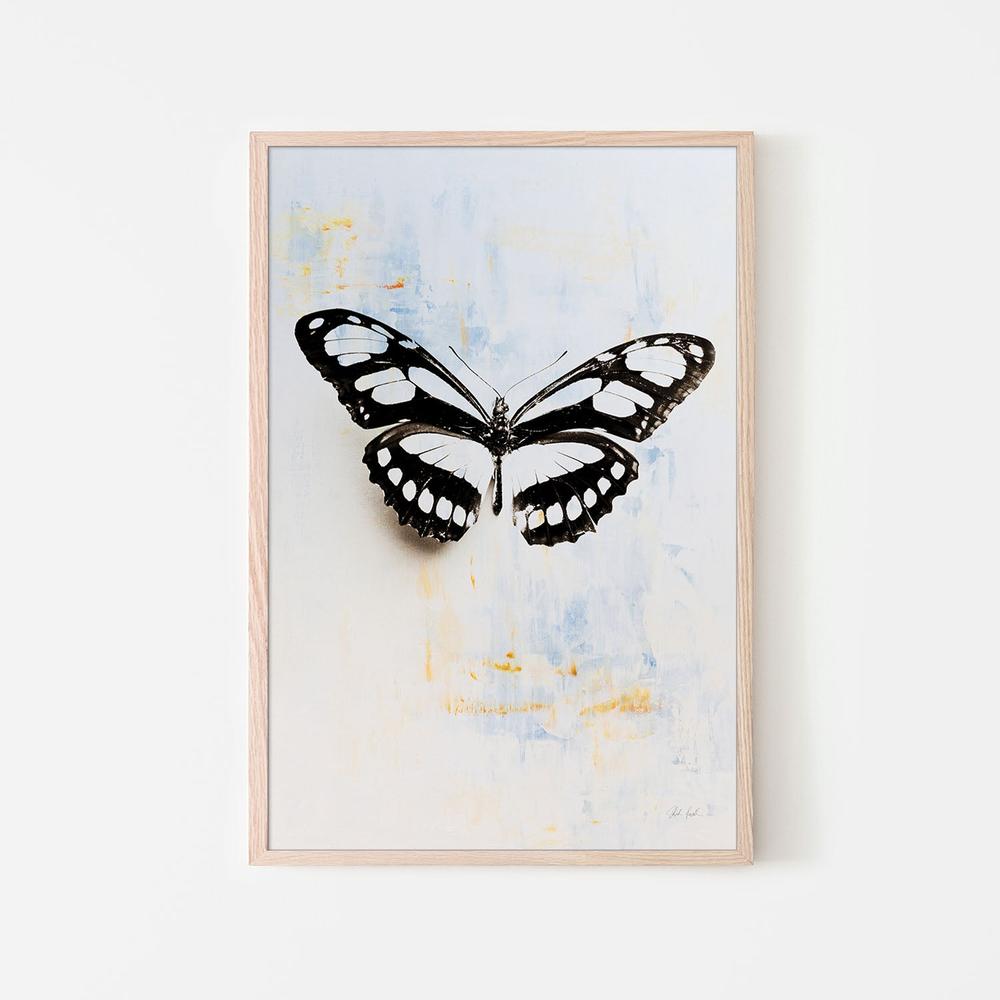 Butterfly, Style B-by-Deborah Revell-wall-art-print-canvas-poster-framed-Gioia