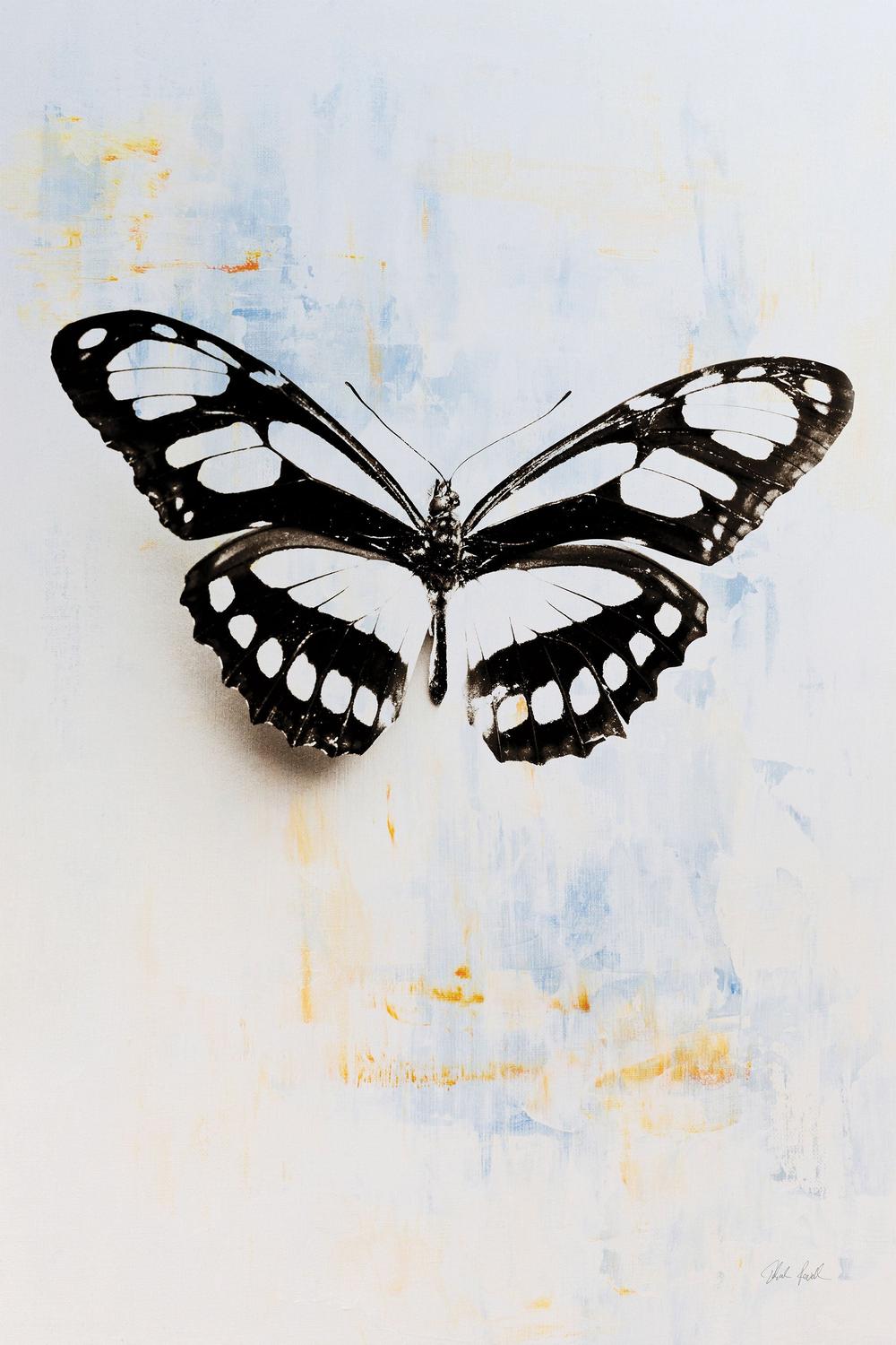 Butterfly, Style B-by-Deborah Revell-wall-art-print-canvas-poster-framed-Gioia
