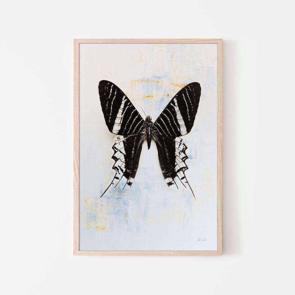 Butterfly, Style C-by-Deborah Revell-wall-art-print-canvas-poster-framed-Gioia