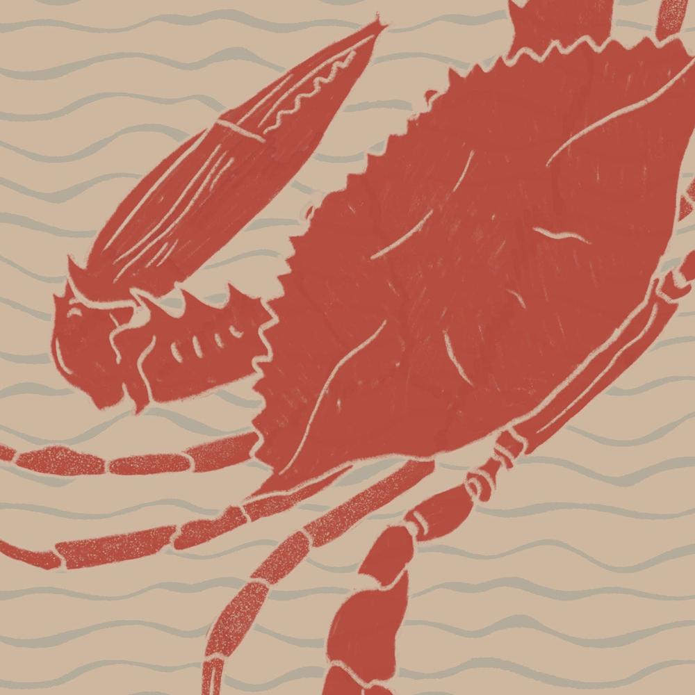 Coastal Crabs and Sun-by-Radhika Modi-wall-art-print-canvas-poster-framed-Gioia