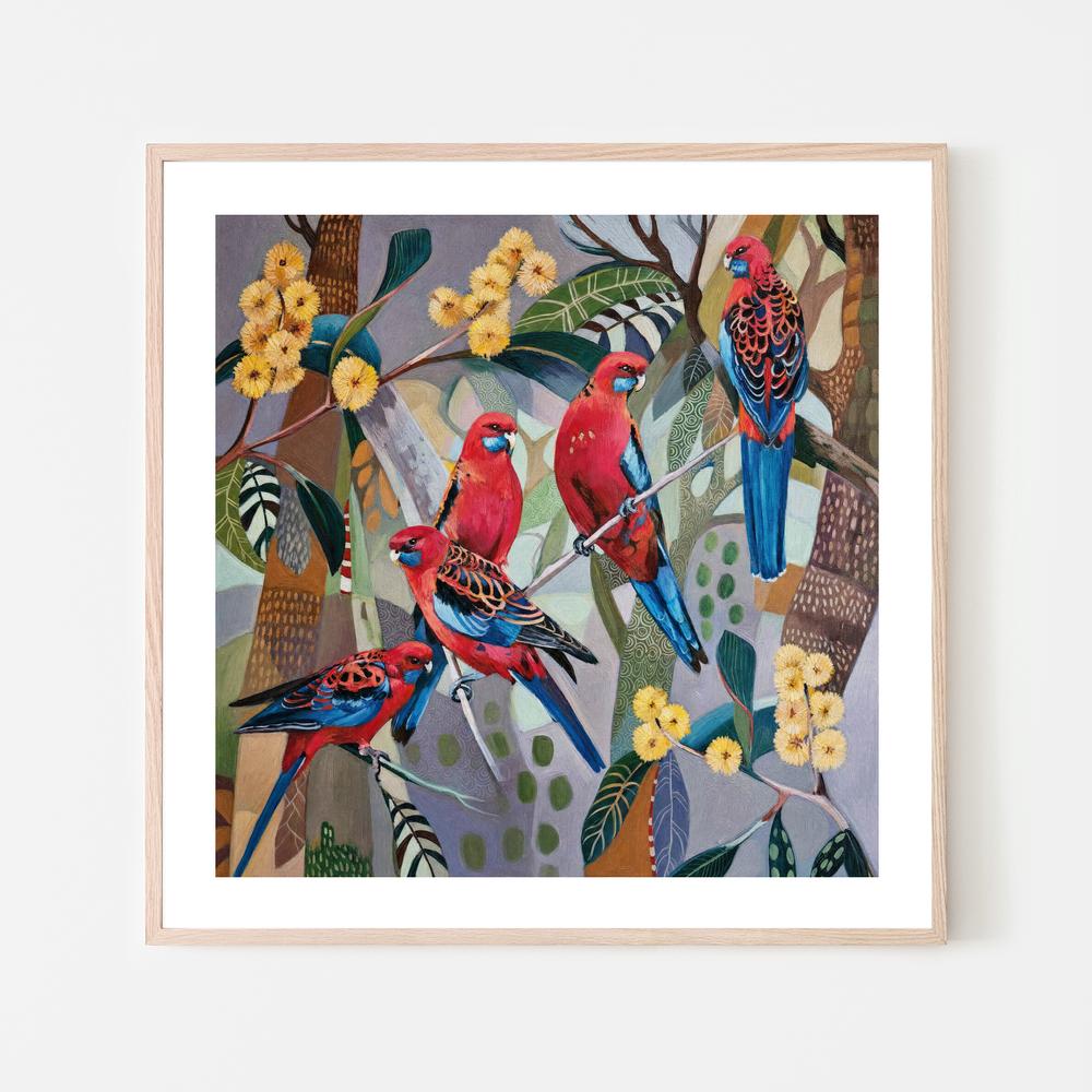 Crimson Rosellas with Wattle-by-Susan Trudinger-wall-art-print-canvas-poster-framed-Gioia
