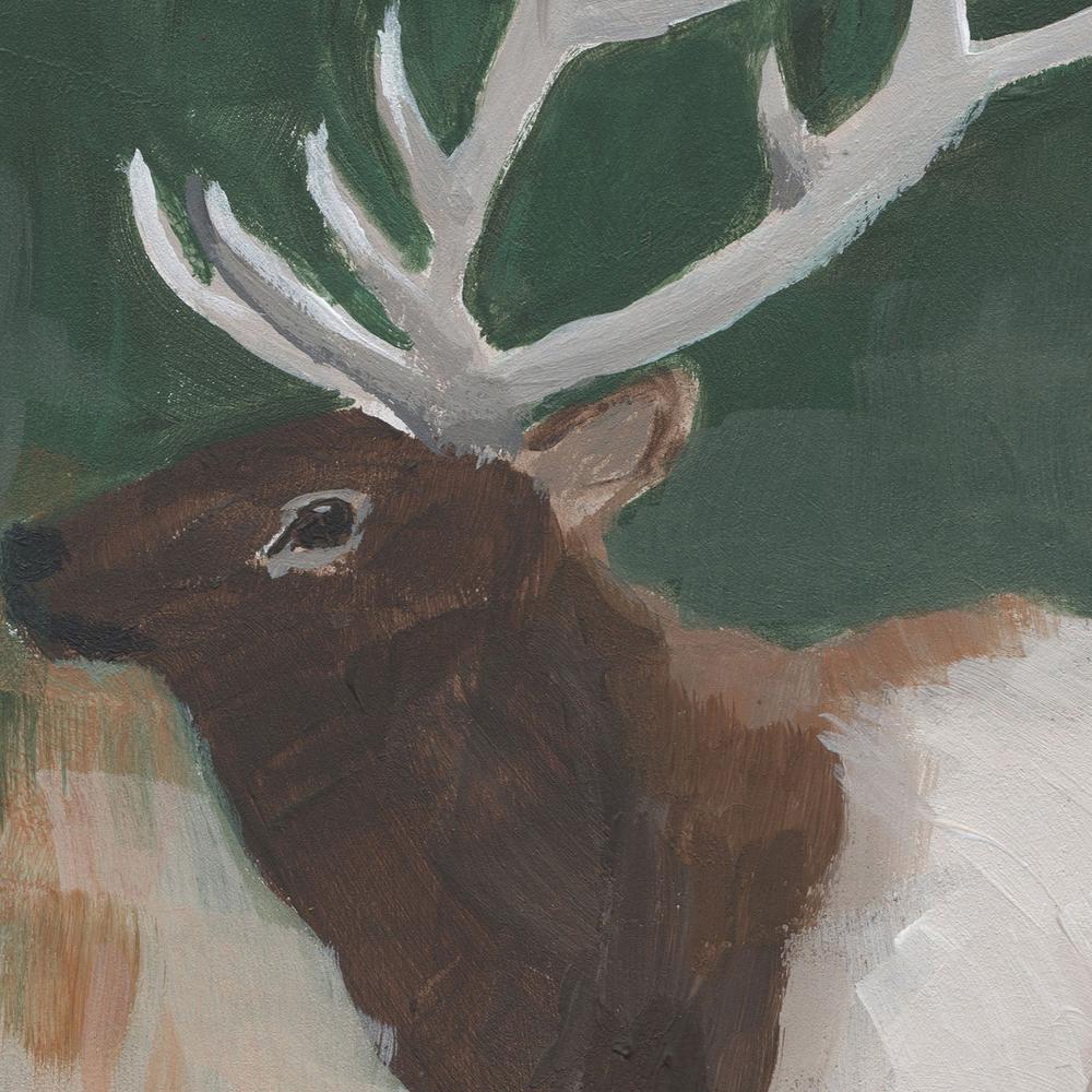Elk Country-by-Pamela Munger-wall-art-print-canvas-poster-framed-Gioia
