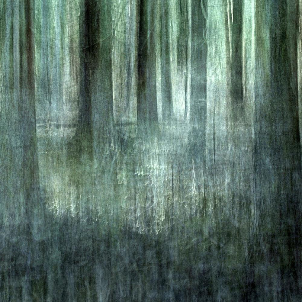 Ethereal Forest Blur-by-Christina Sillen-wall-art-print-canvas-poster-framed-Gioia
