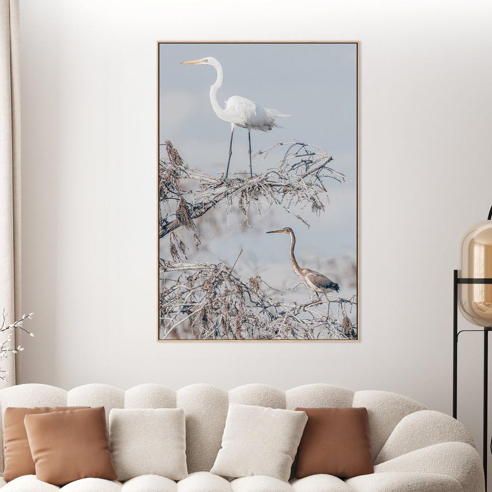 Everglades Pair-by-Nathan Larson-wall-art-print-canvas-poster-framed-Gioia